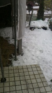 玄関回り