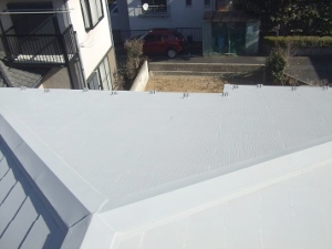 川崎市宮前区　屋根塗装　ガイナ　完了２