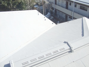 川崎市宮前区　屋根塗装　ガイナ　完了４