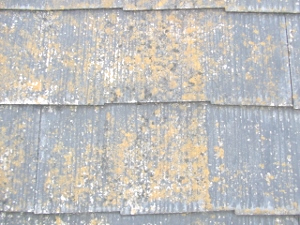 屋根塗装　スレート瓦２