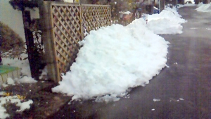 雪の残り