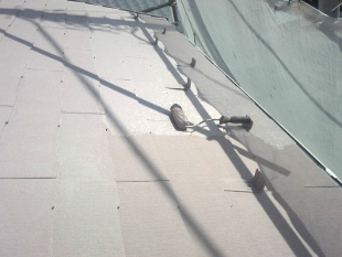 屋根塗装　ガイナ６