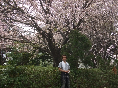 桜