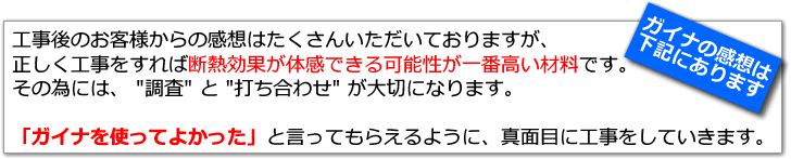 ガイナの感想