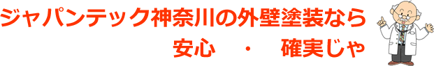 �W���p���e�b�N�_�ސ�̊O�Ǔh��