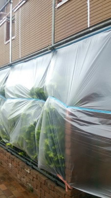 寒川町　サイディング塗装養生